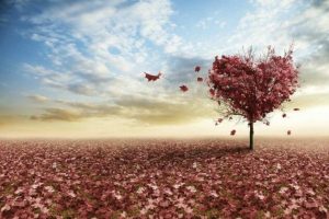 En kærlighed, der var for god til at være sand