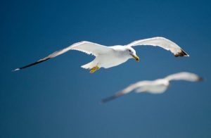 Det er ikke dig, det er mig