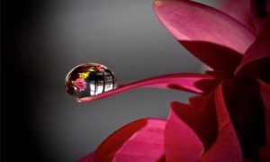 9 ting vi skal huske om livet