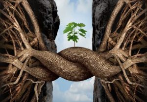 De syv grene: gængse udfordringer, vi alle oplever i livet