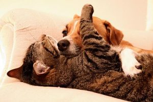 Hvad man kan gøre, når man har svært ved at stole på folk