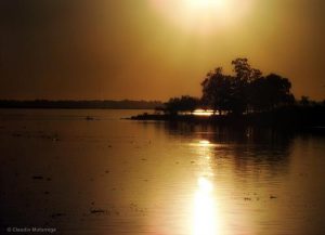 Forestillingens kraft