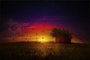 Følelsesmæssig markedsføring: at købe følelser