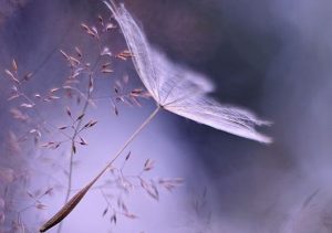 Det er terapeutisk at finde svar på de hårde øjeblikke