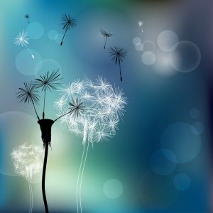 Gør dig selv fri fra giftige mennesker