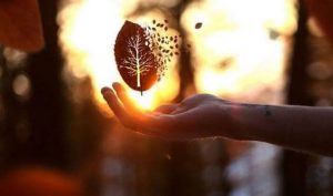 Venlighed er det bedste svar på ondskab