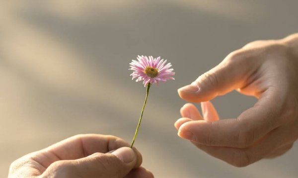 Person giver anden person blomst som eksempel på personer med magi