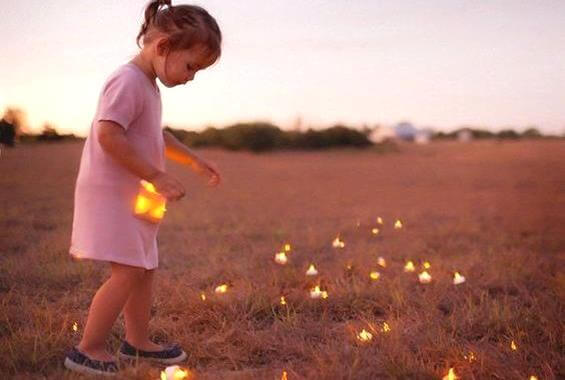 Pige samler lys på en mark