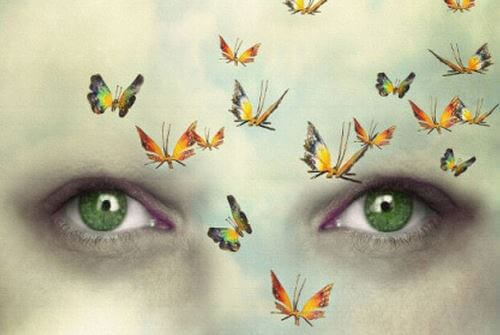 Øjne og sommerfugle