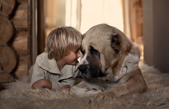 En dreng og en hund viser det tætte bånd mellem børn og dyr