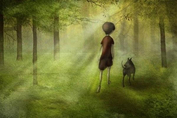 Dreng går i skov med hund