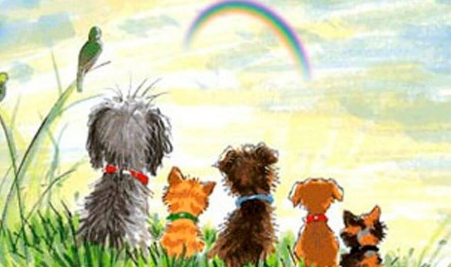 Hunde sidder og kigger på en himmel