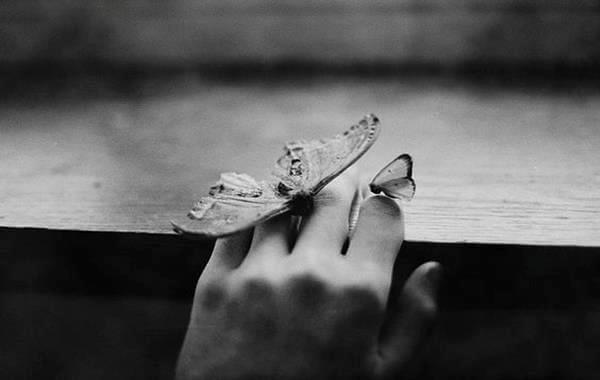 Hånd med sommerfugle