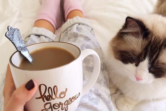 Kvinde drikker kaffe i seng med kat