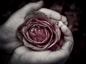 Perfektion, der dvæler i imperfektion