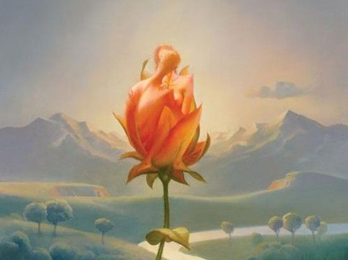 En rose foran et smukt landskab