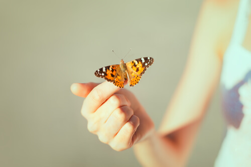 Pige med sommerfugl på hånd