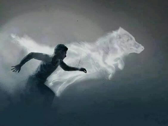 Mand springer med ulv