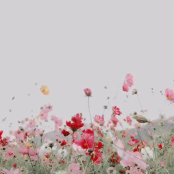 Blomster svejrer i vinden