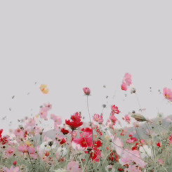 Blomster blæser i vinden