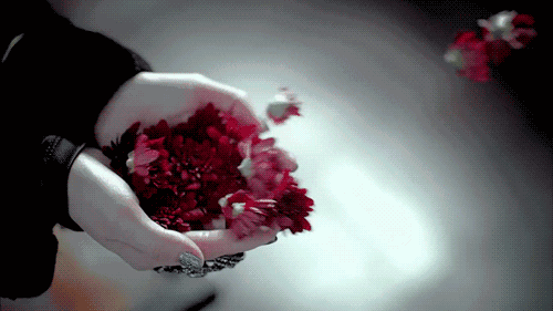 Blomster flyver væk fra persons hånd