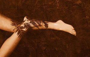 Bregnen og bambussen: en fabel om håb