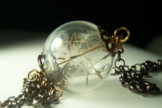 Glaskugle med mælkebøtter indeni