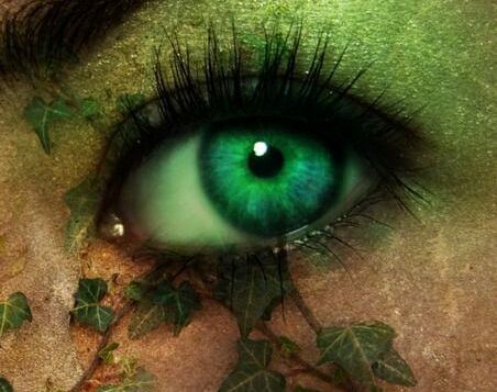 Øje i grønne nuancer