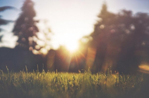 Solen over et landskab