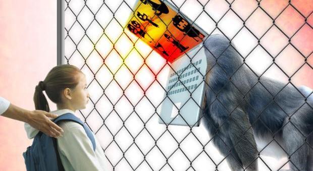 Pige oplever mobning på internettet