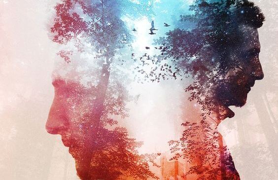 Ansigt og natur i røde og blå farver