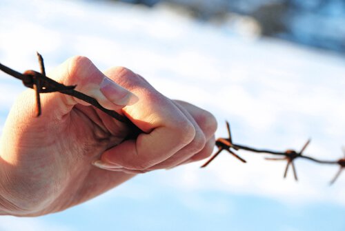 Hpnd griber fat om pigtråd, som symbol for smerten ved at undertrykke følelser