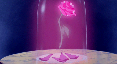 Rose i glaskrukke taber sine blade