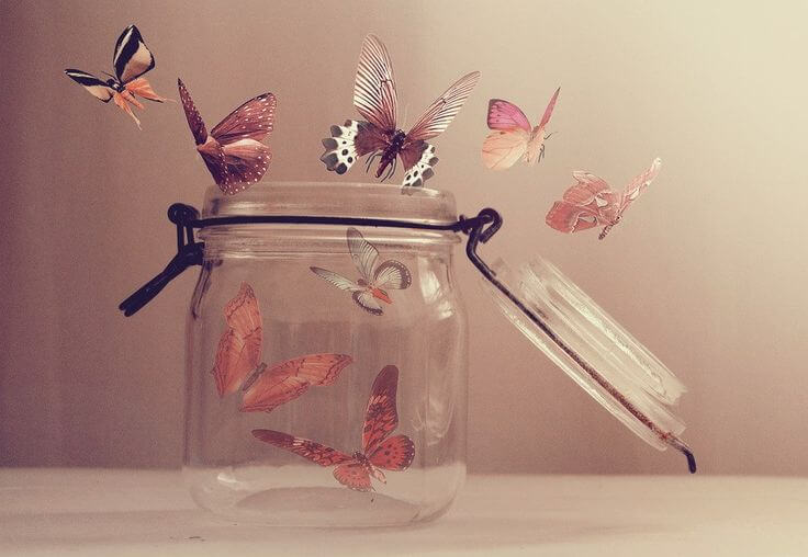 Sommerfugle flyver ud af glas