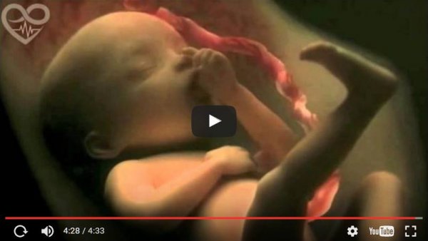 Undfangelse og graviditet i en vidunderlig video