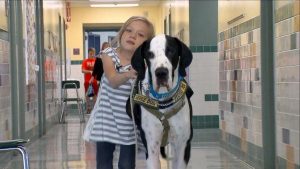 "Støt dig op af mig:" Den fantastiske historie om Bella og George