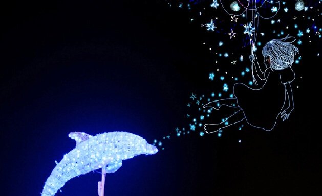 Piger danser til delfins rytme