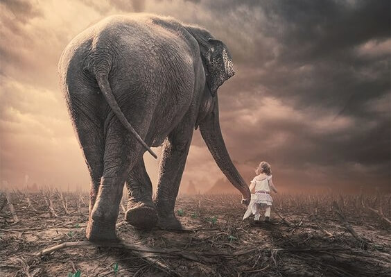 Lille barn går sammen med elefant