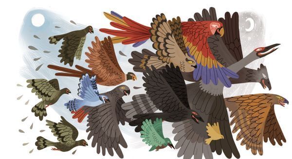 Forskellige fugle flyver sammen