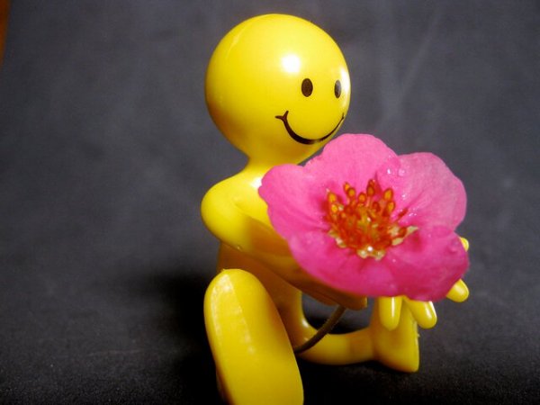 Glad gul dukke sidder med lyserød blomst