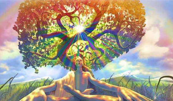 Person mediterer under træ for at nyde det gode i livet