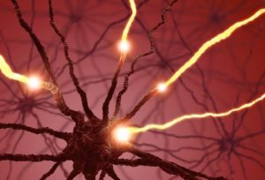 Sådan påvirker serotonin din krop