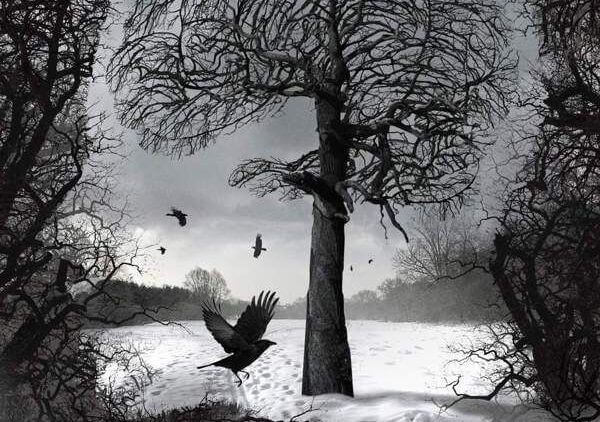 Fugler flyver omkring træ i vinterlandskab