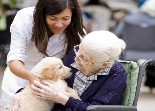 Hunde kan være en stor hjælp mod mange sygdomme, bl.a. alzheimers for ældre mennesker. Bella og George er ikke et ene tilfælde