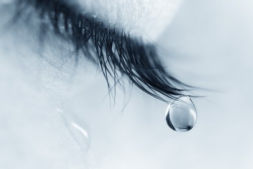 Tåre falder fra øjenvipper på person, der er midt i sorgprocessen