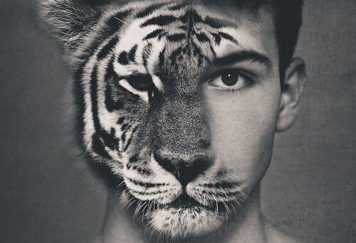 Mands ansigt med halvdelen af ansigtet som en tiger