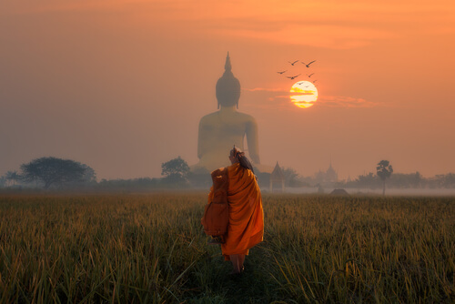 Den forgiftede pil: buddhistisk fortælling om at leve i nuet
