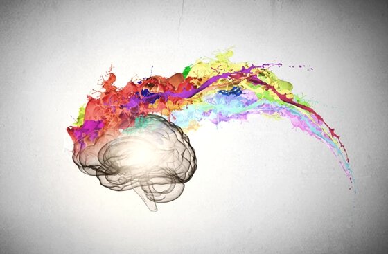 Hjene med farverigt maling viser følelsesmæssig intelligens
