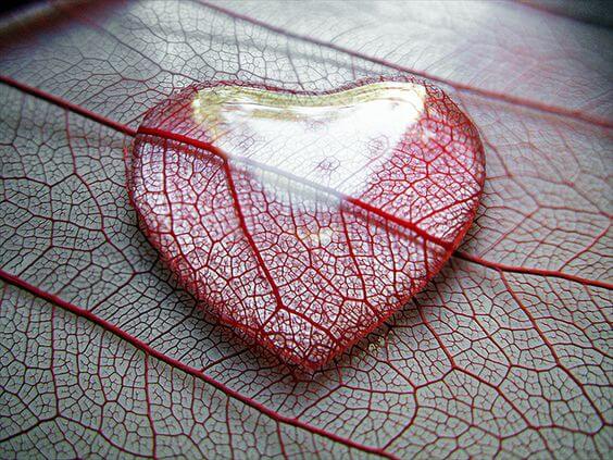 Hjerte formet af glas
