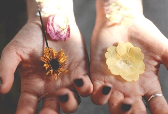 To hænder med blomster i viser, hvordan man kan undskylde på en effektiv måde